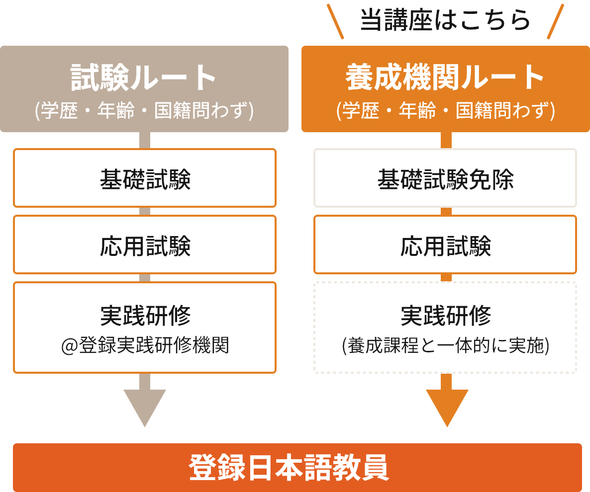 養成機関ルート(学歴・年齢・国籍問わず)→基礎試験免除→応用試験→実践研修(養成課程と一体的に実施)